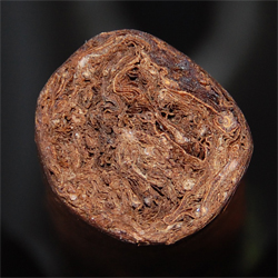 Padilla Dominus - 2